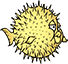 openbsd